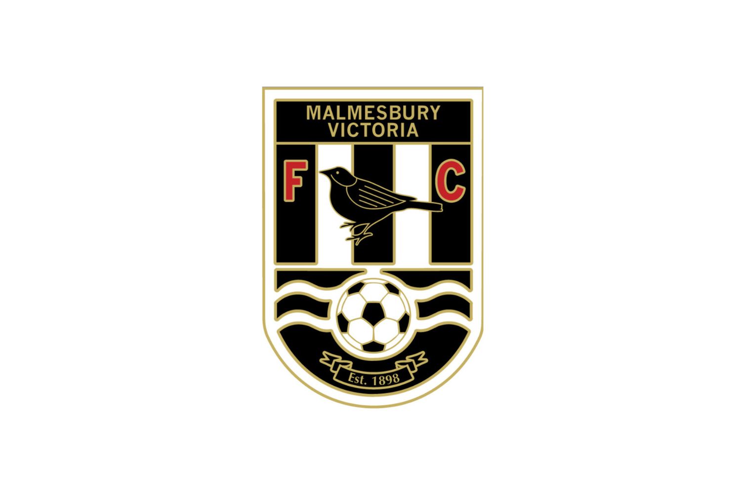 malmesbury-victoria-fc-15-football-club-facts