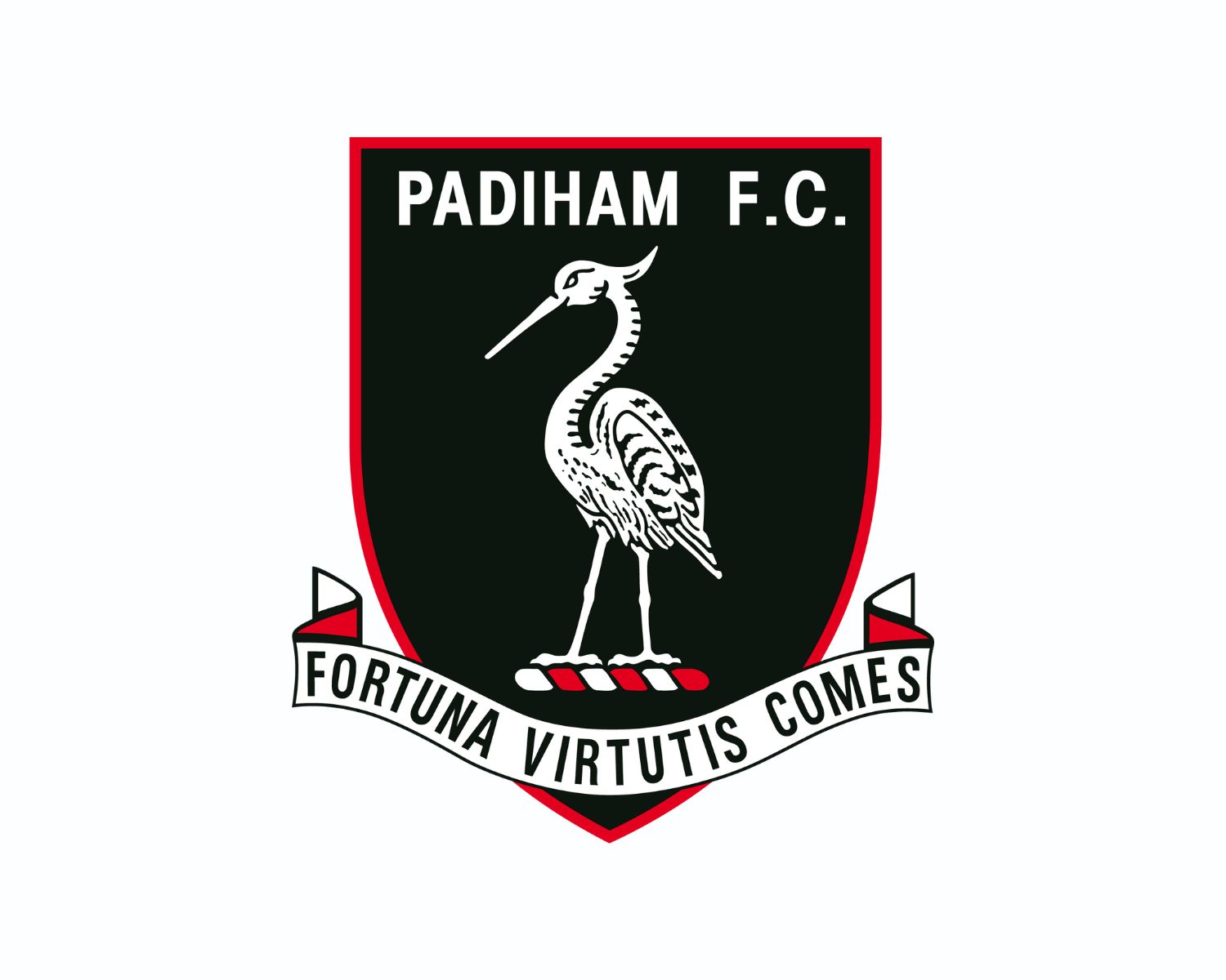 padiham-fc-16-football-club-facts