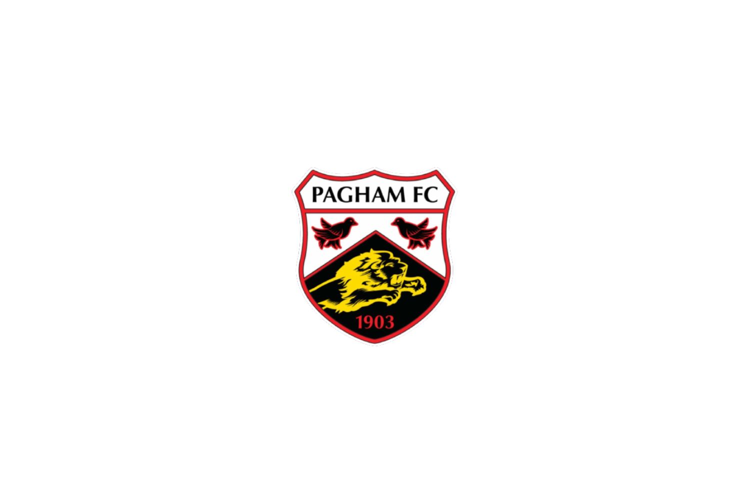 pagham-fc-12-football-club-facts