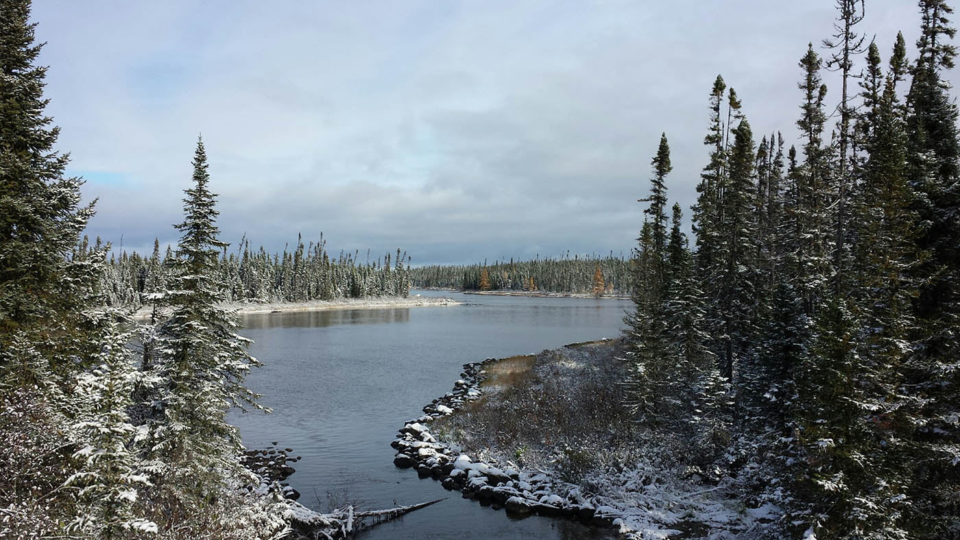 10-astounding-facts-about-boreal-forests