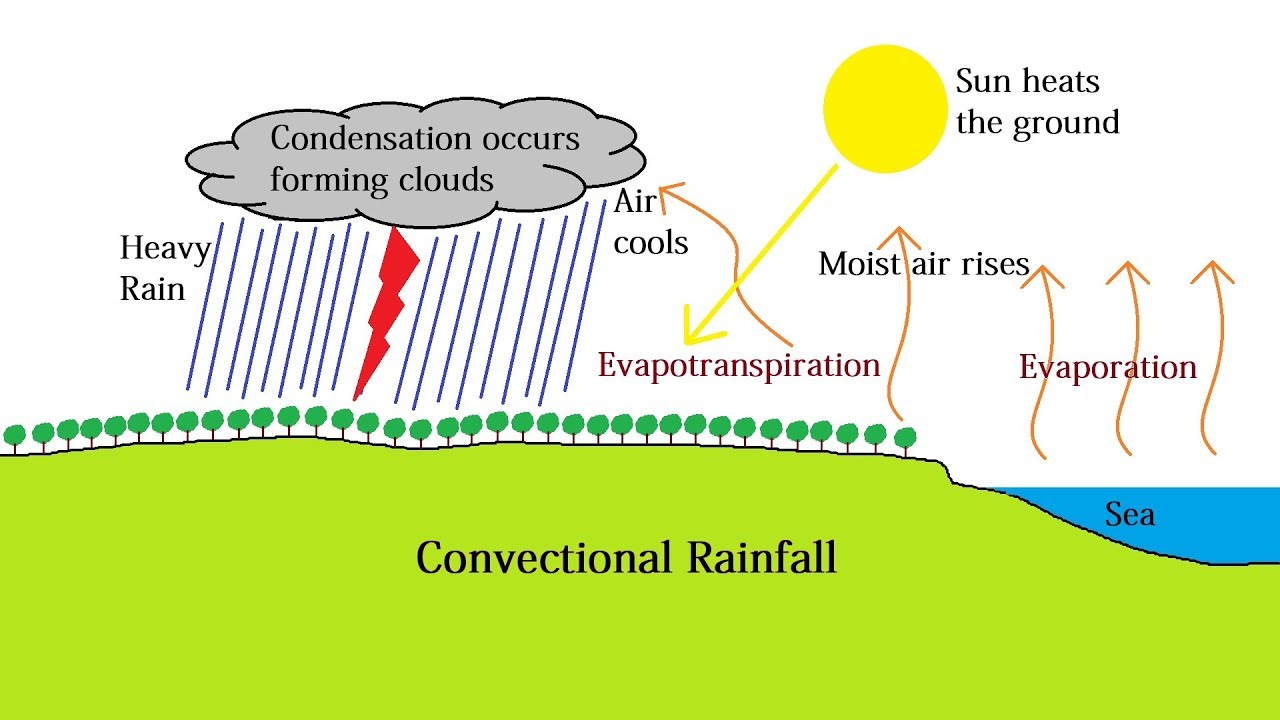 10-captivating-facts-about-convectional-rainfall