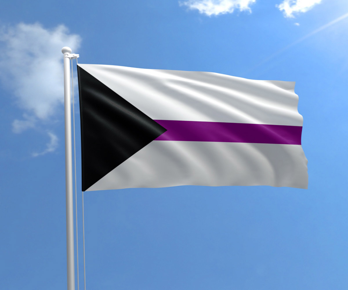 10-enigmatic-facts-about-demisexual-flag