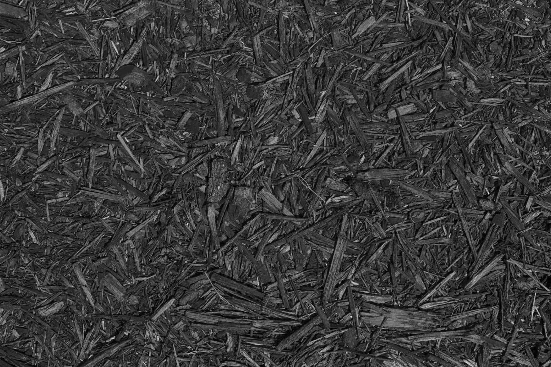 10-fascinating-facts-about-black-mulch