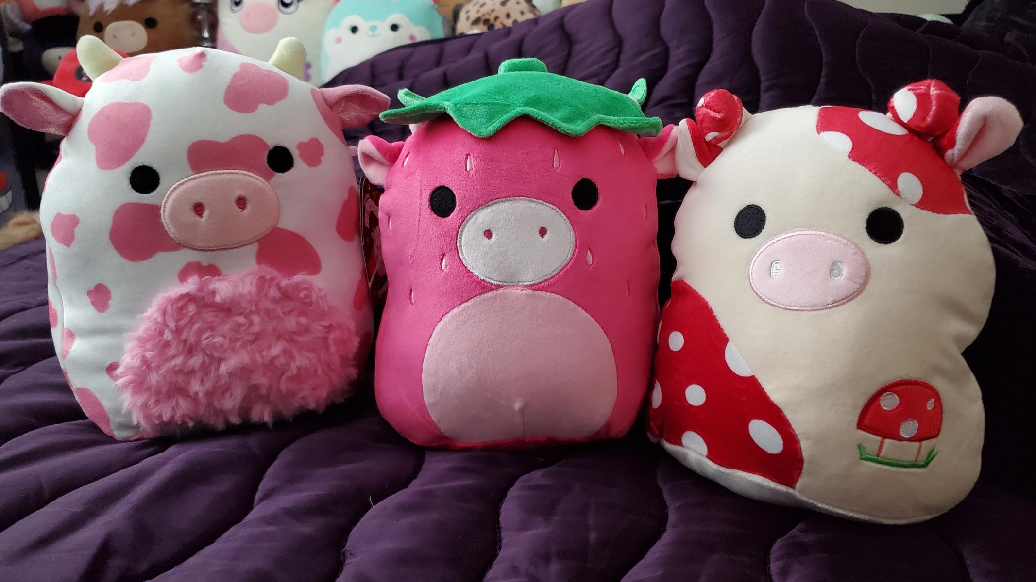 11-astounding-facts-about-squishmallow-cow