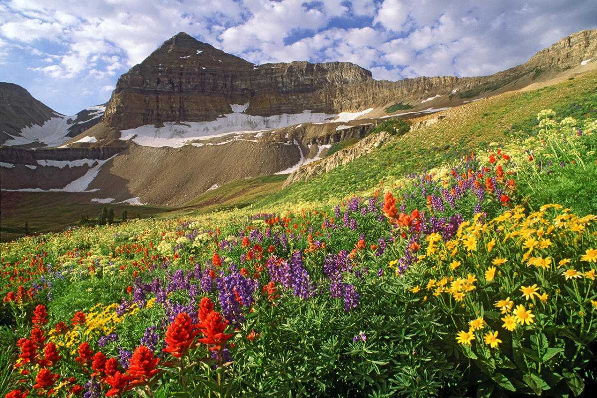 11-enigmatic-facts-about-mount-timpanogos