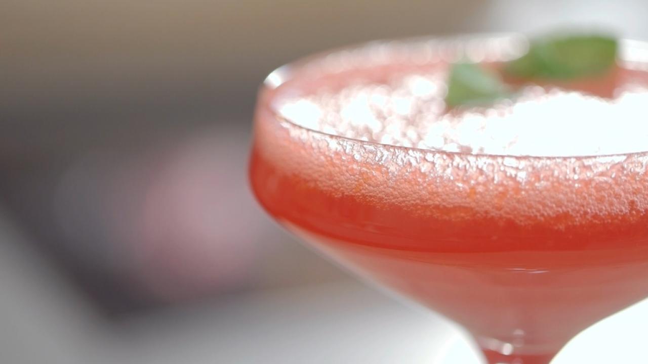 11-extraordinary-facts-about-cranberry-ginger-fizz