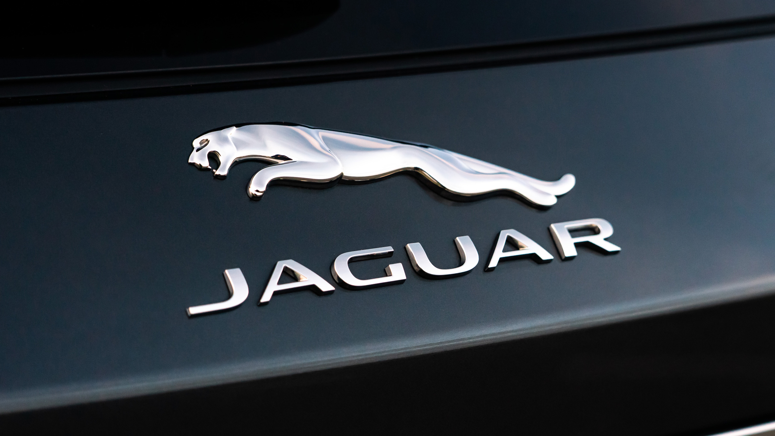12-facts-about-jaguar