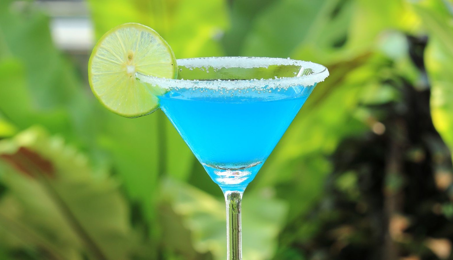 13-astounding-facts-about-blue-margarita