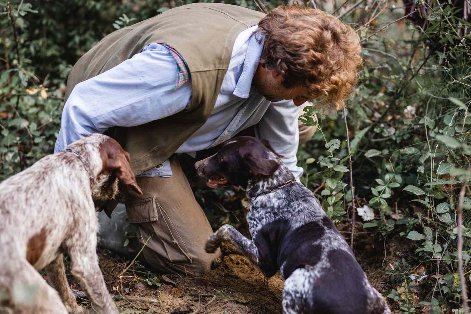 13-astounding-facts-about-truffle-hunting