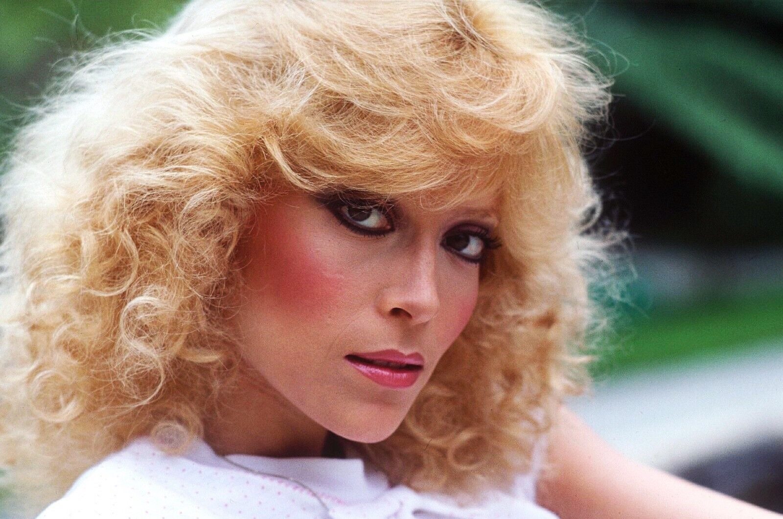 13-fascinating-facts-about-judy-landers
