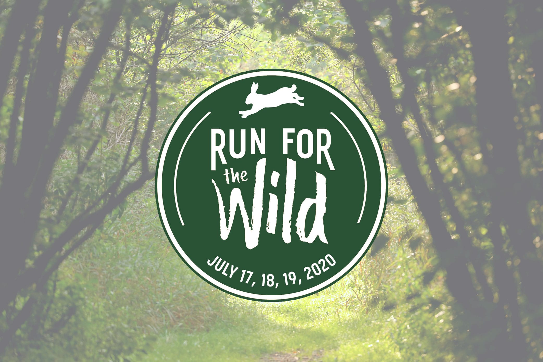 13 Fascinating Facts About Run For The Wild