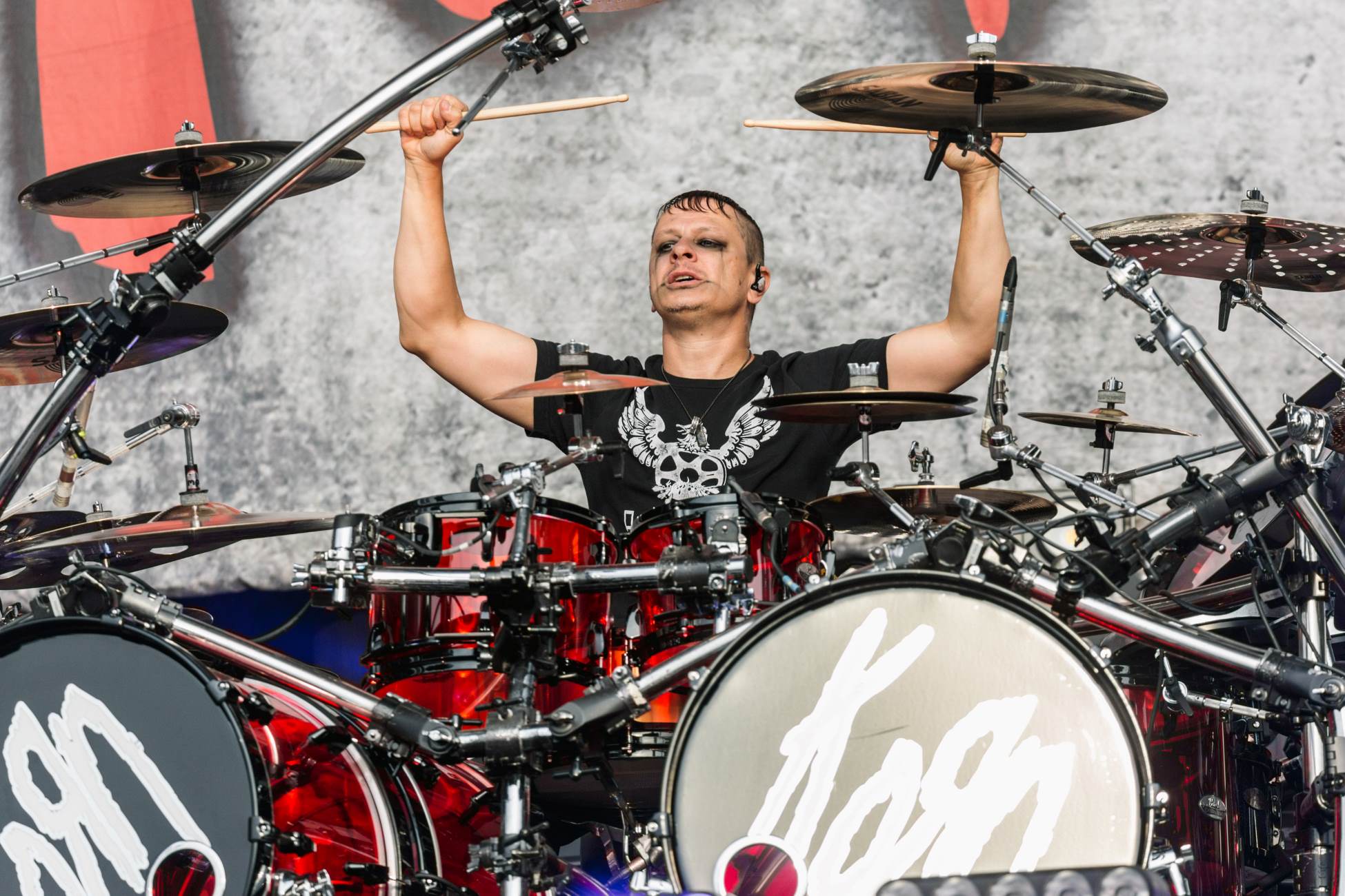 13-surprising-facts-about-ray-luzier