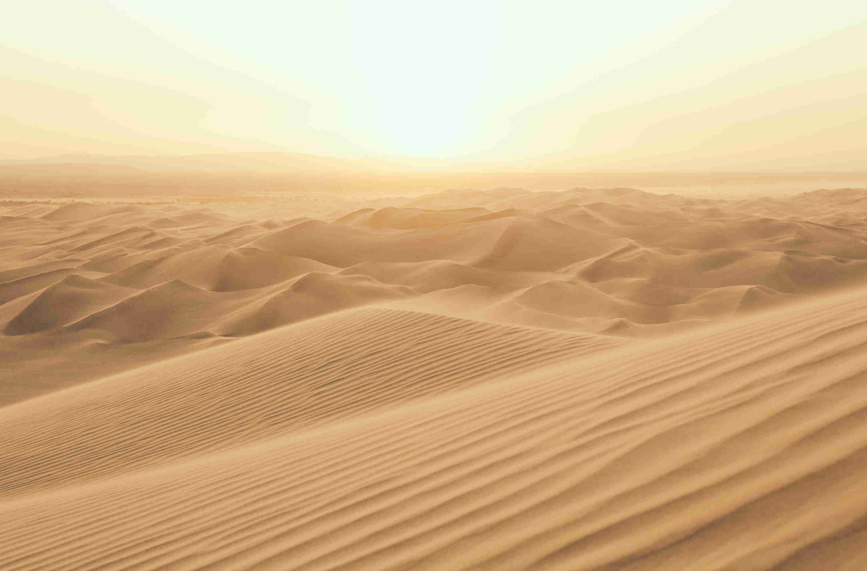 14-astonishing-facts-about-arid-climates