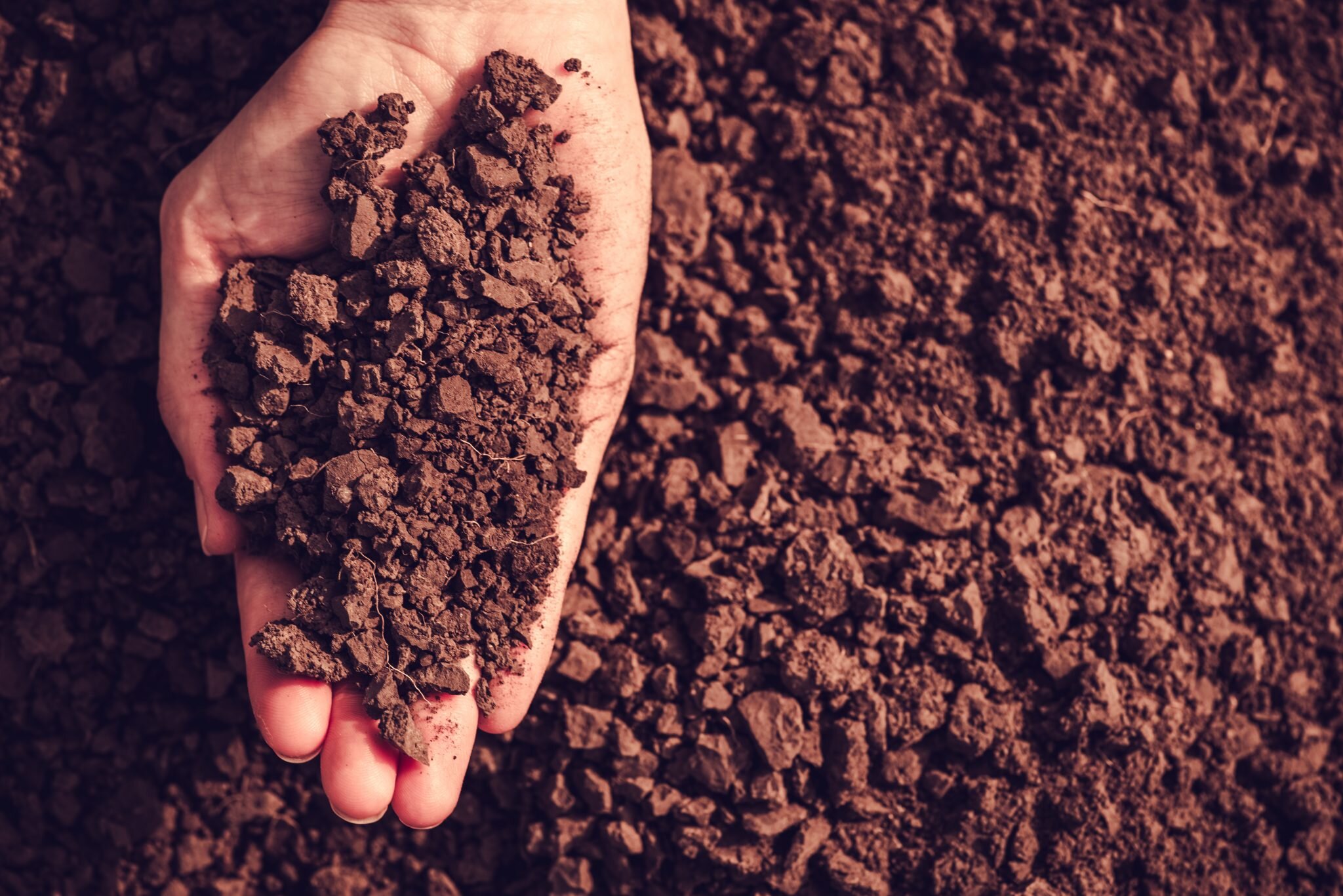 14-enigmatic-facts-about-soil-conservation