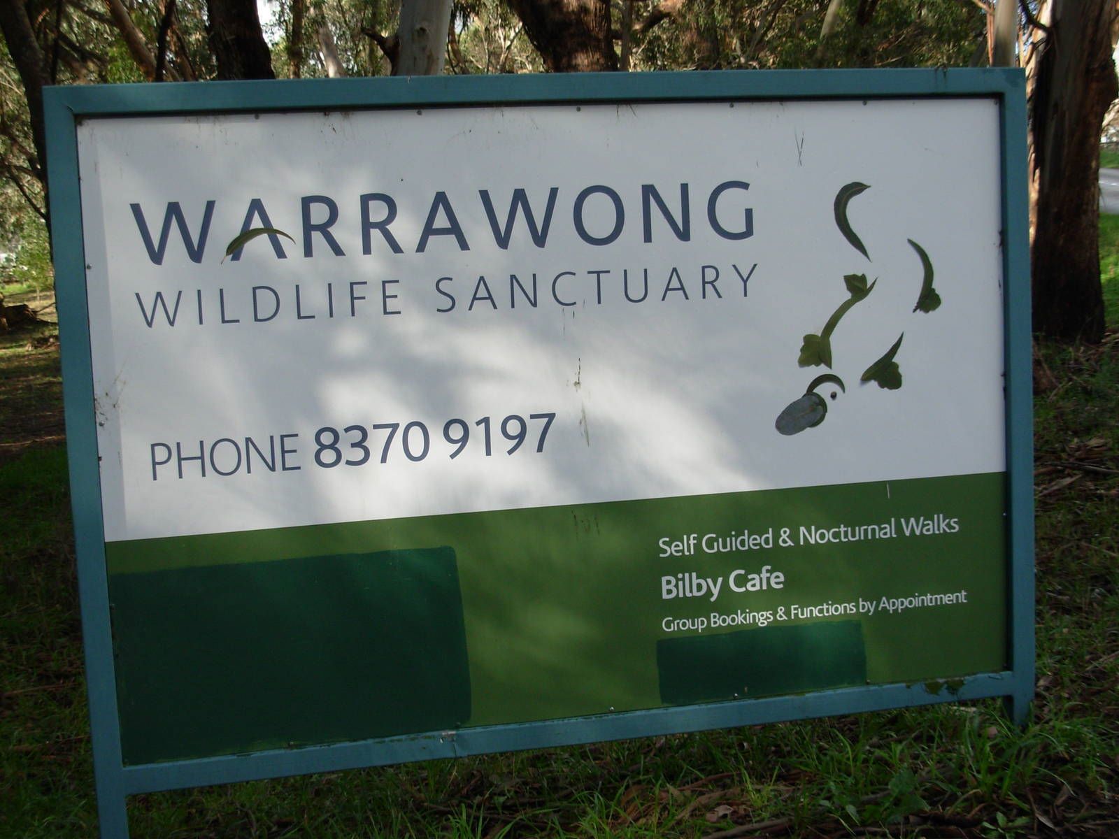 14-extraordinary-facts-about-warrawong-wildlife-sanctuary