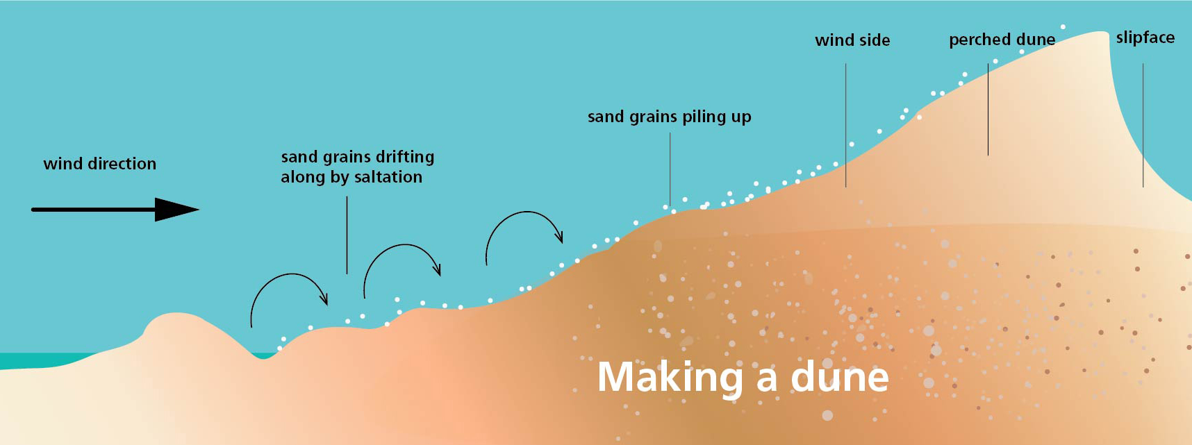 Sand dune, Definition, Formation, & Facts