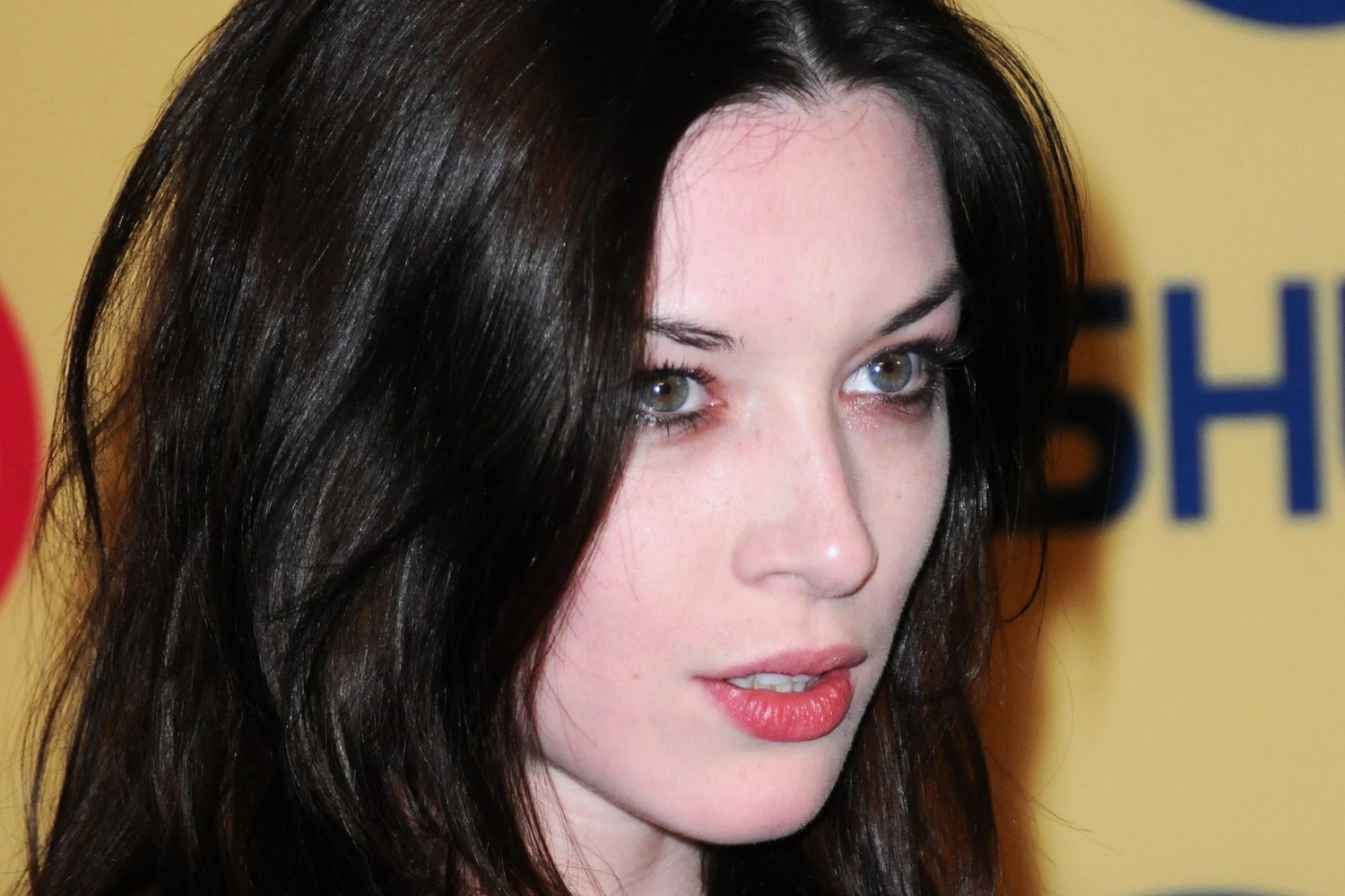 15-captivating-facts-about-stoya