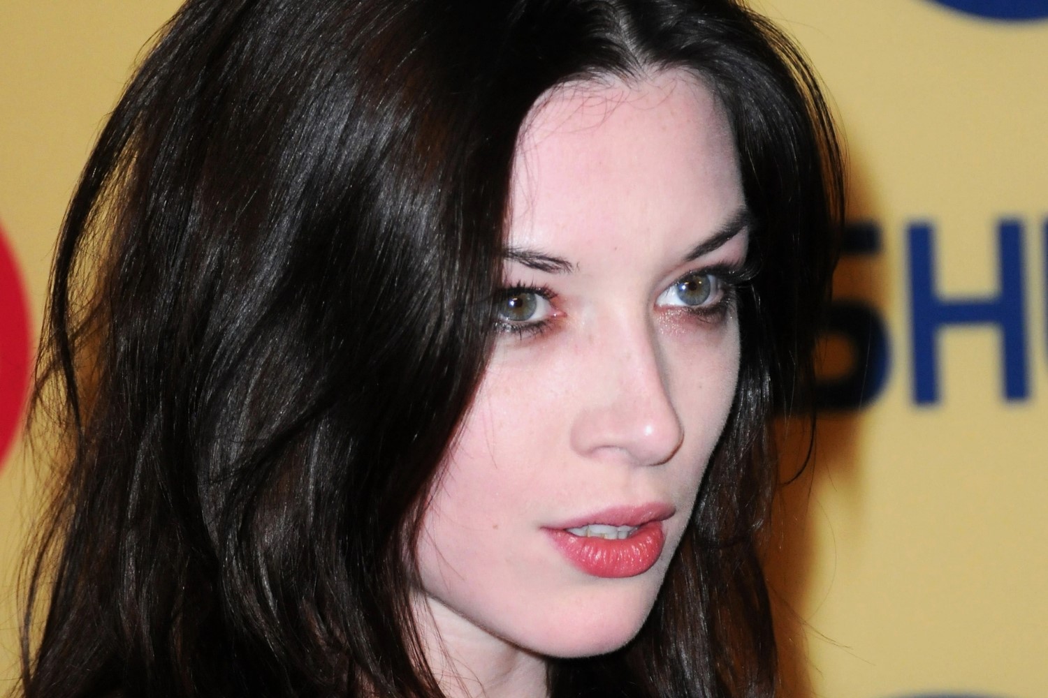 15 Captivating Facts About Stoya - Facts.net