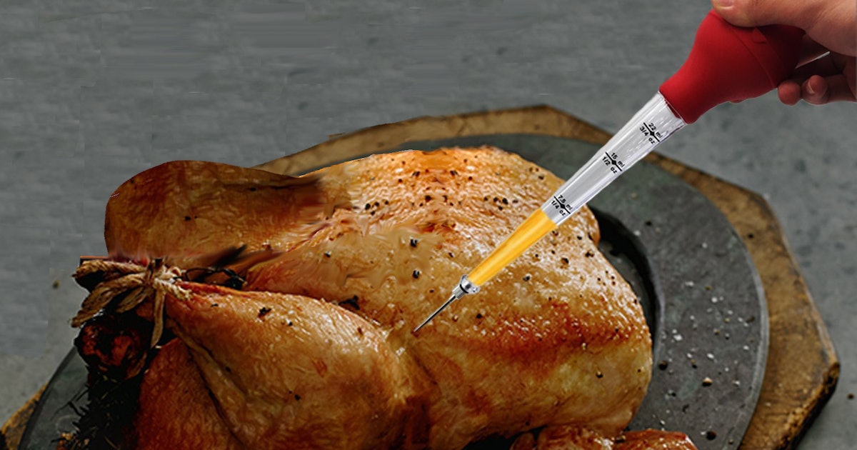 15-captivating-facts-about-turkey-baster
