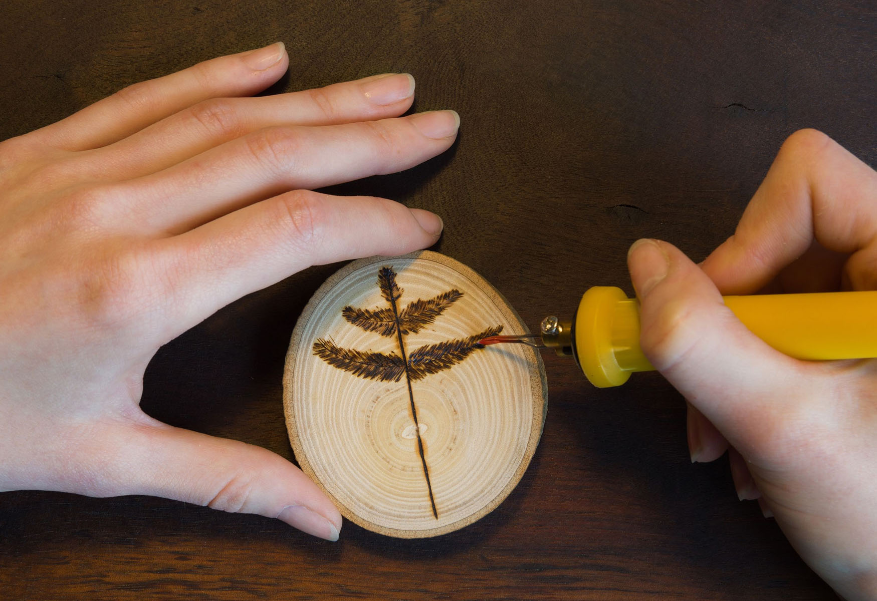 15 Fascinating Facts About Pyrography (woodburning) 