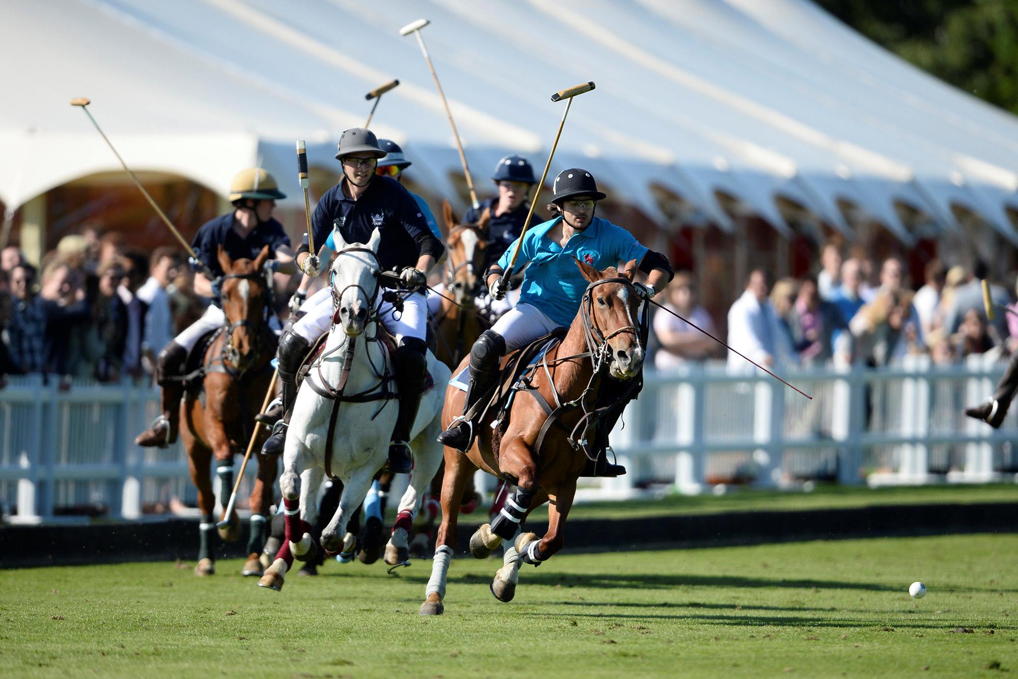 15-mind-blowing-facts-about-polo
