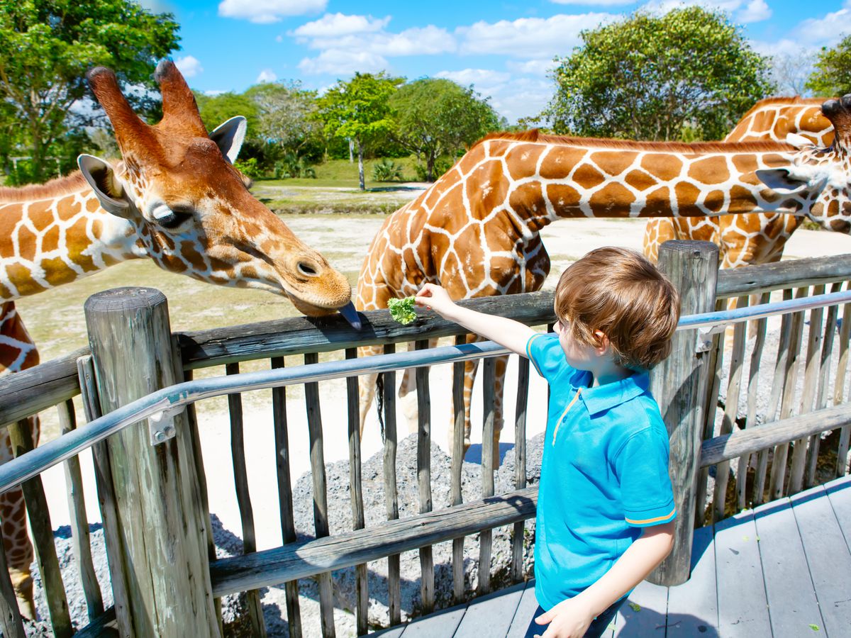 16-astounding-facts-about-zoo-day-for-charity