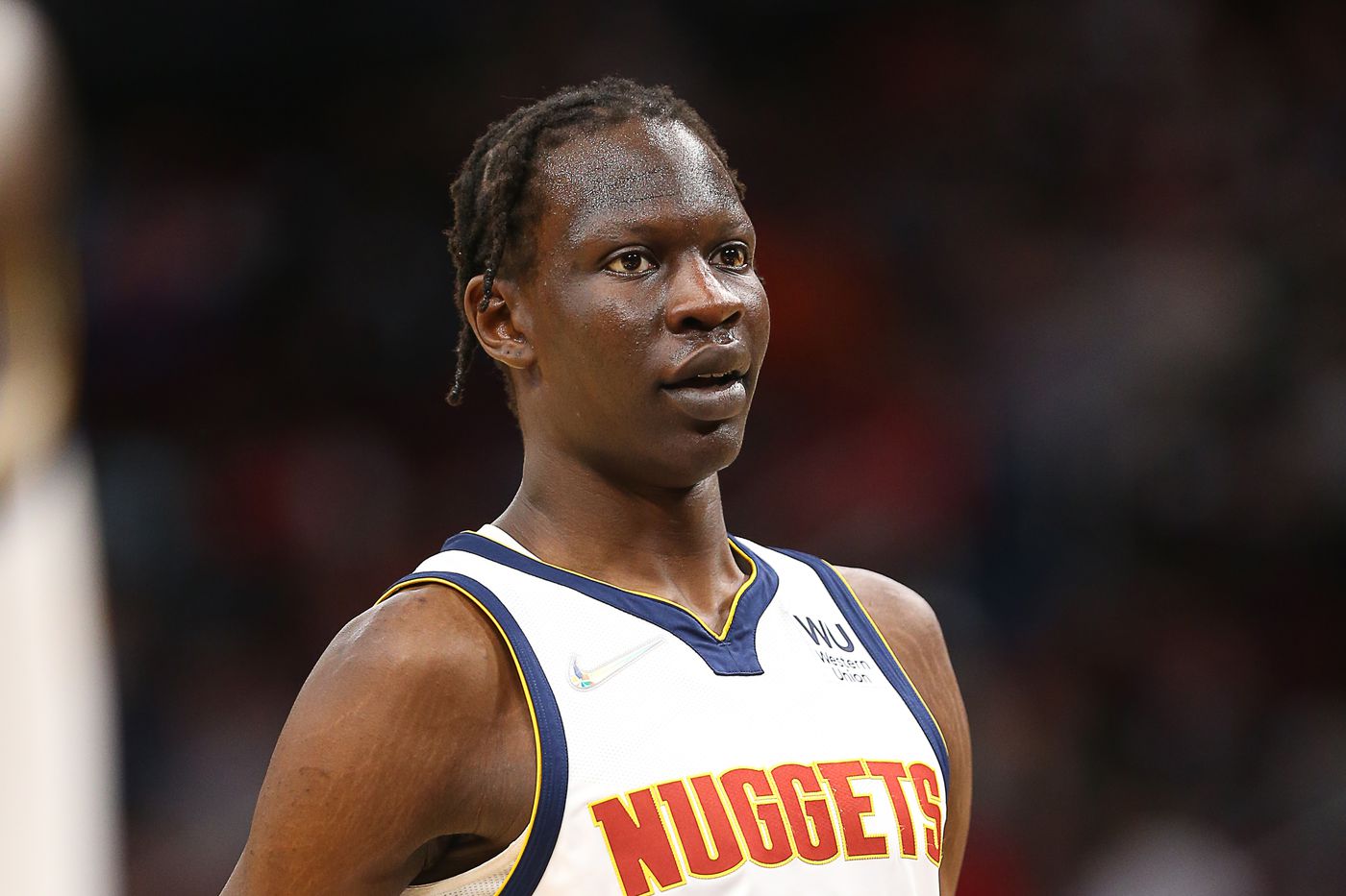 16-captivating-facts-about-bol-bol