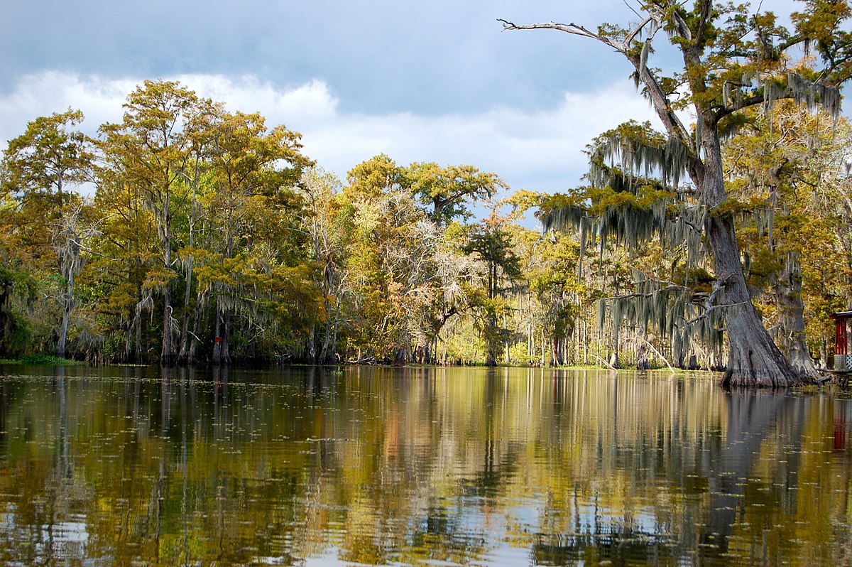 16-enigmatic-facts-about-bayou