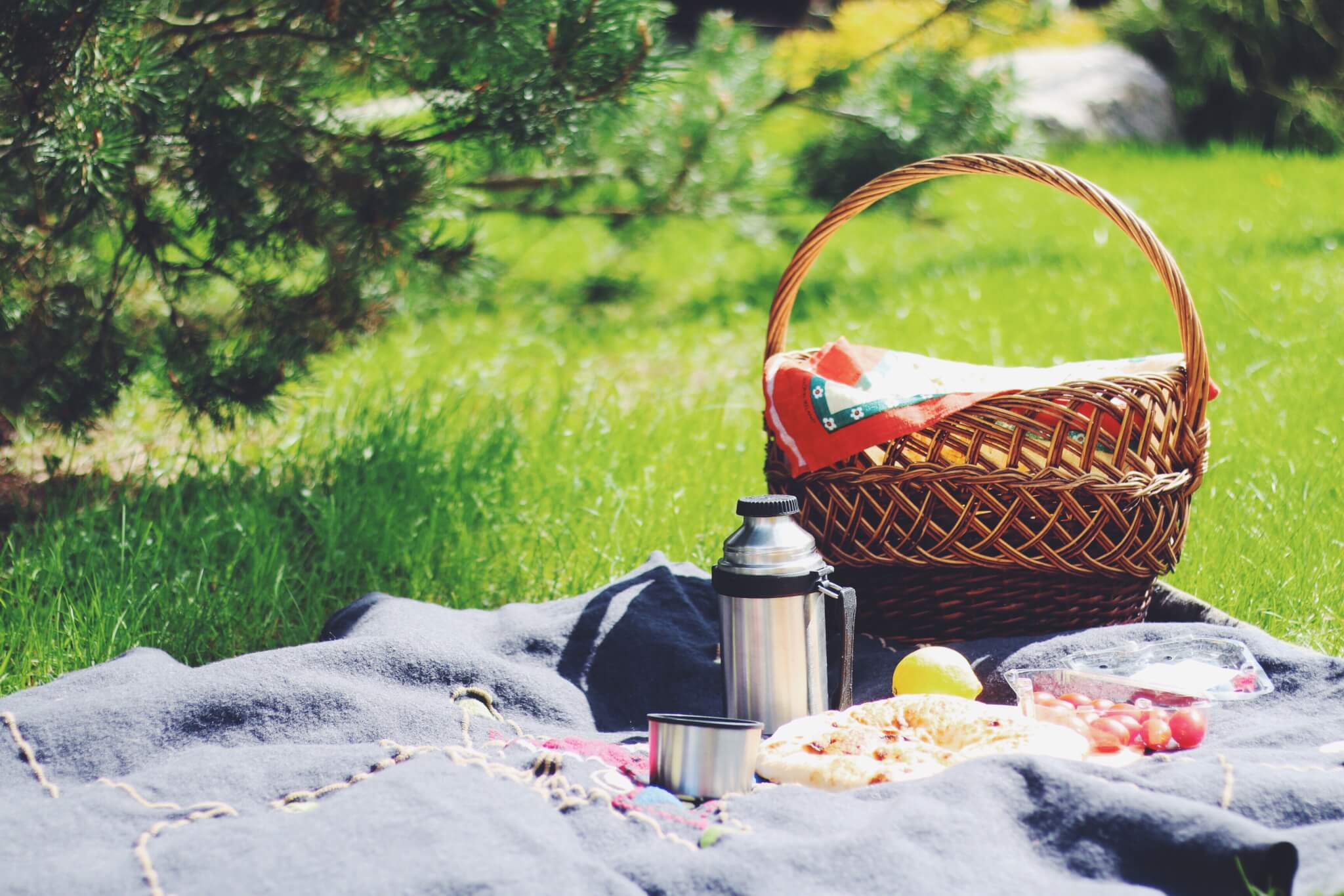 16-extraordinary-facts-about-picnic-with-a-purpose