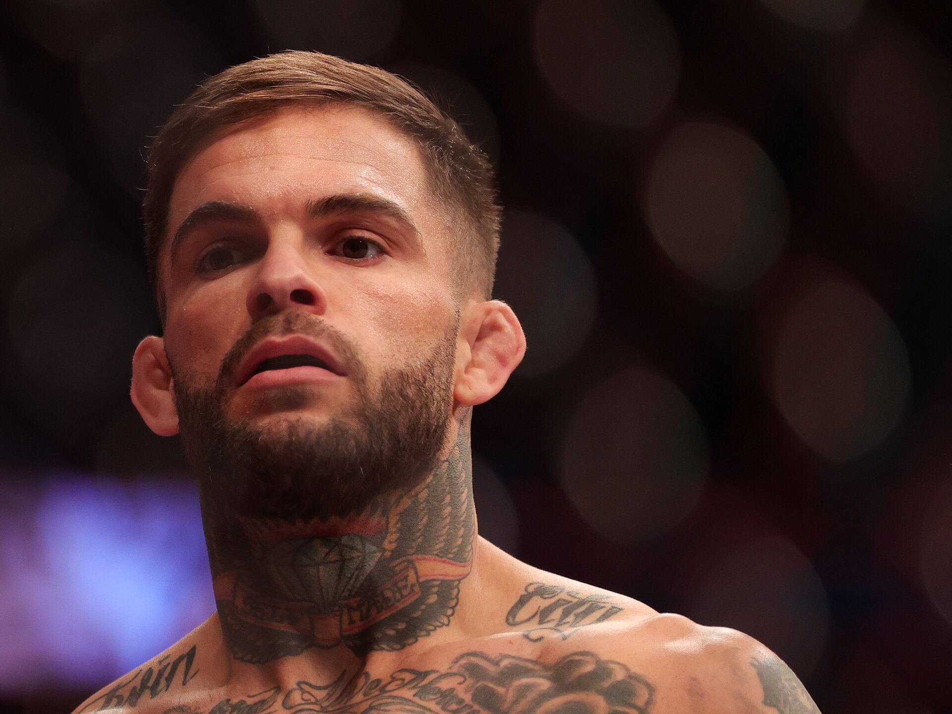 16-surprising-facts-about-cody-garbrandt