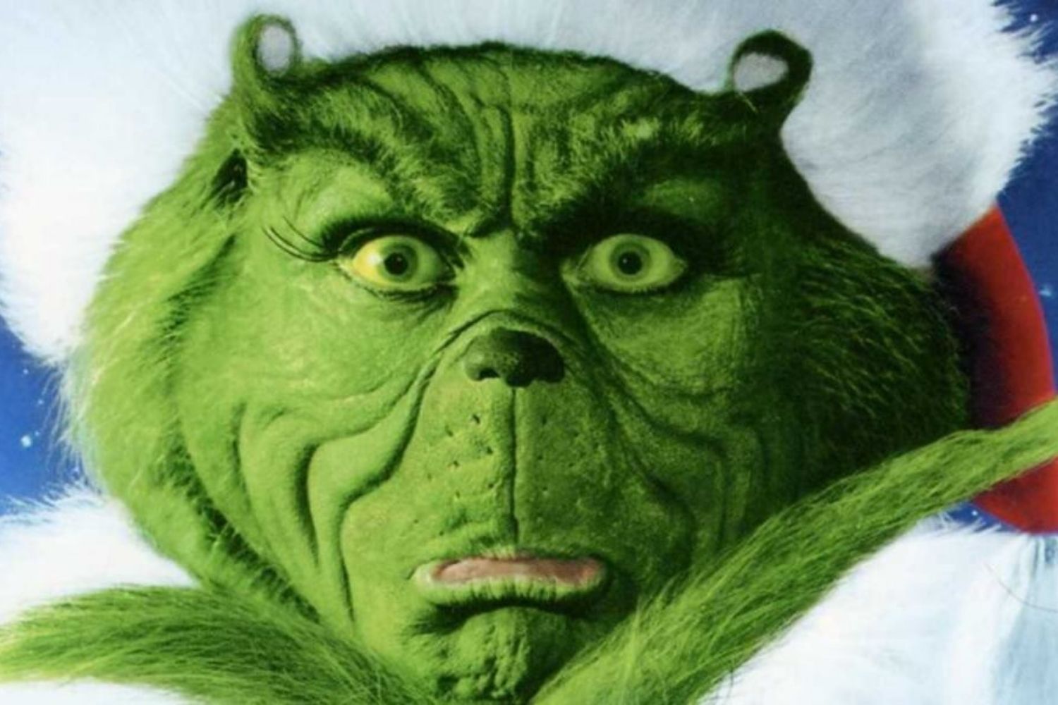 17-astounding-facts-about-grinch-face