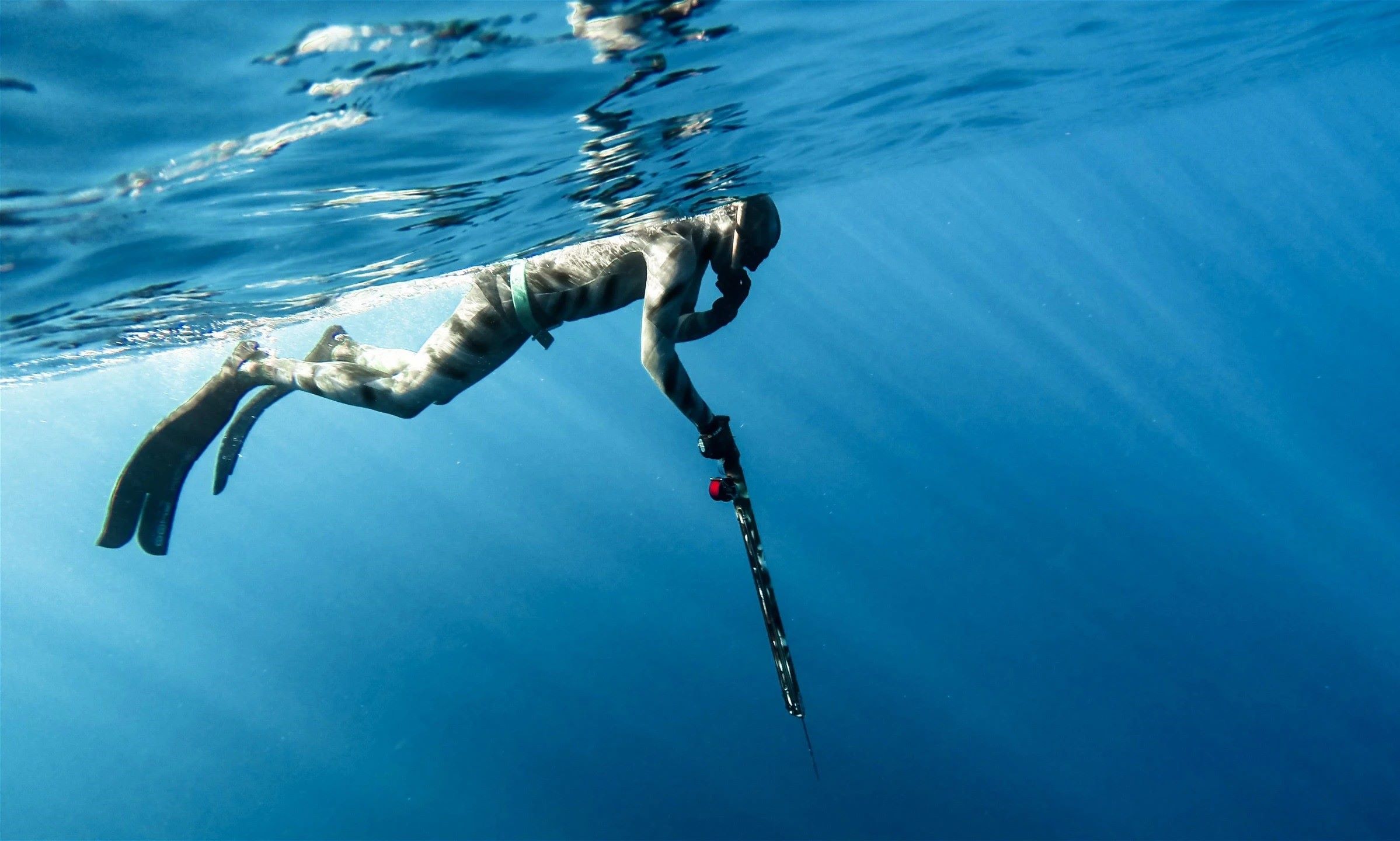 17 Astounding Facts About Spearfishing 
