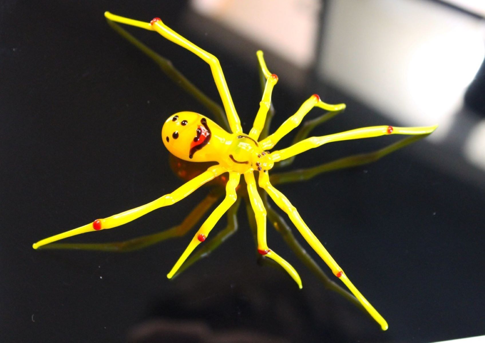 17-captivating-facts-about-smiley-face-spider
