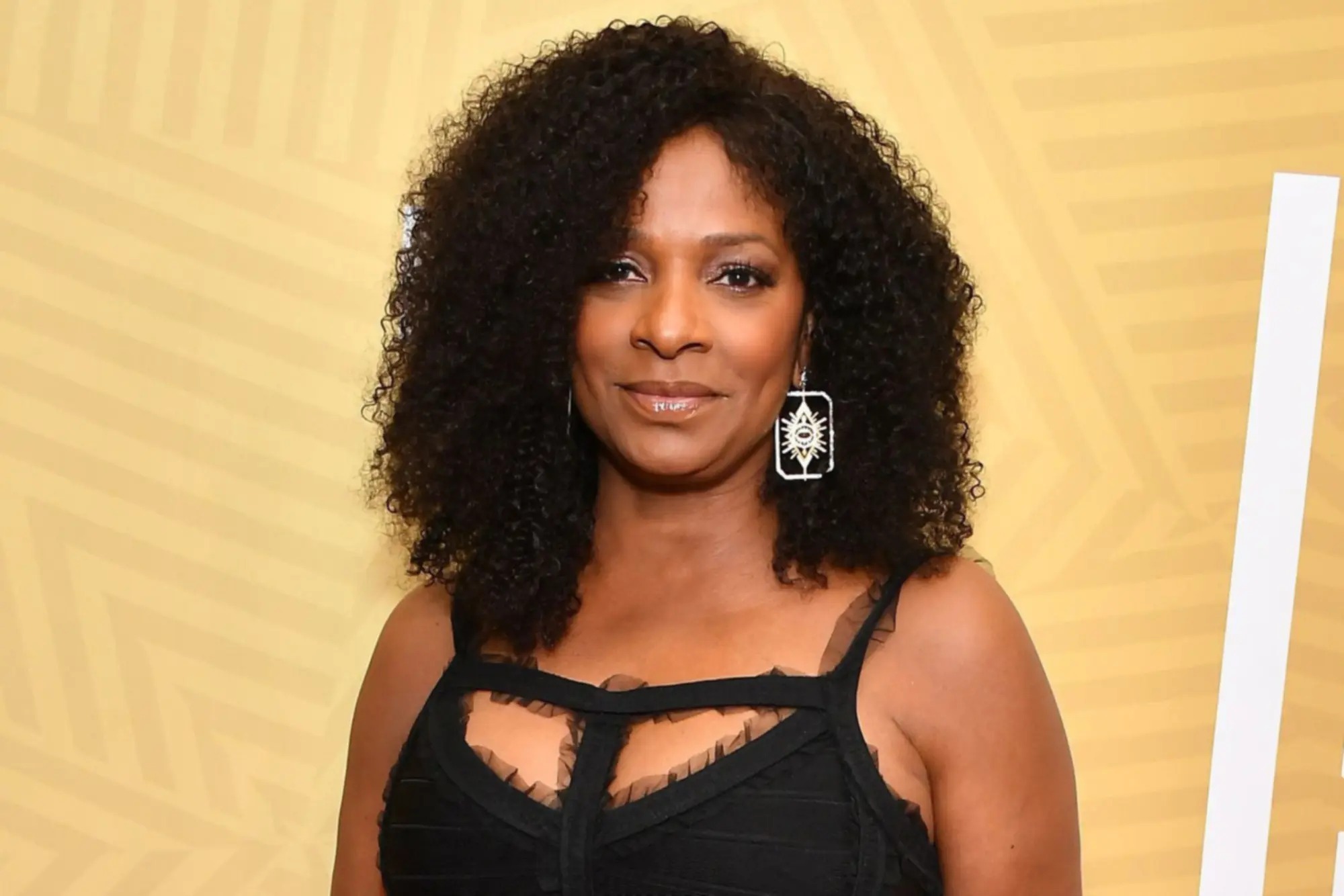 17-fascinating-facts-about-vanessa-bell-calloway