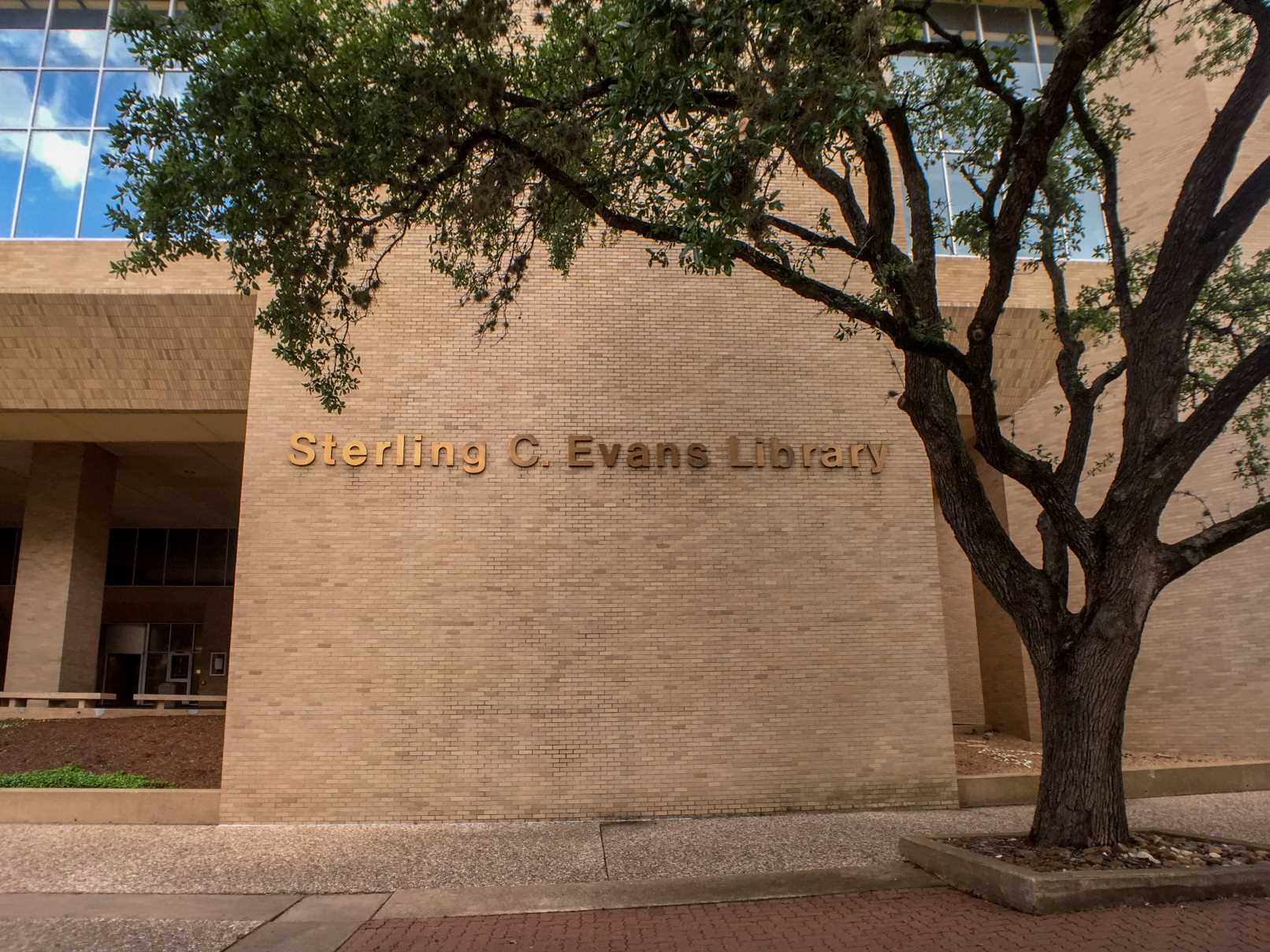 17-surprising-facts-about-sterling-c-evans-library