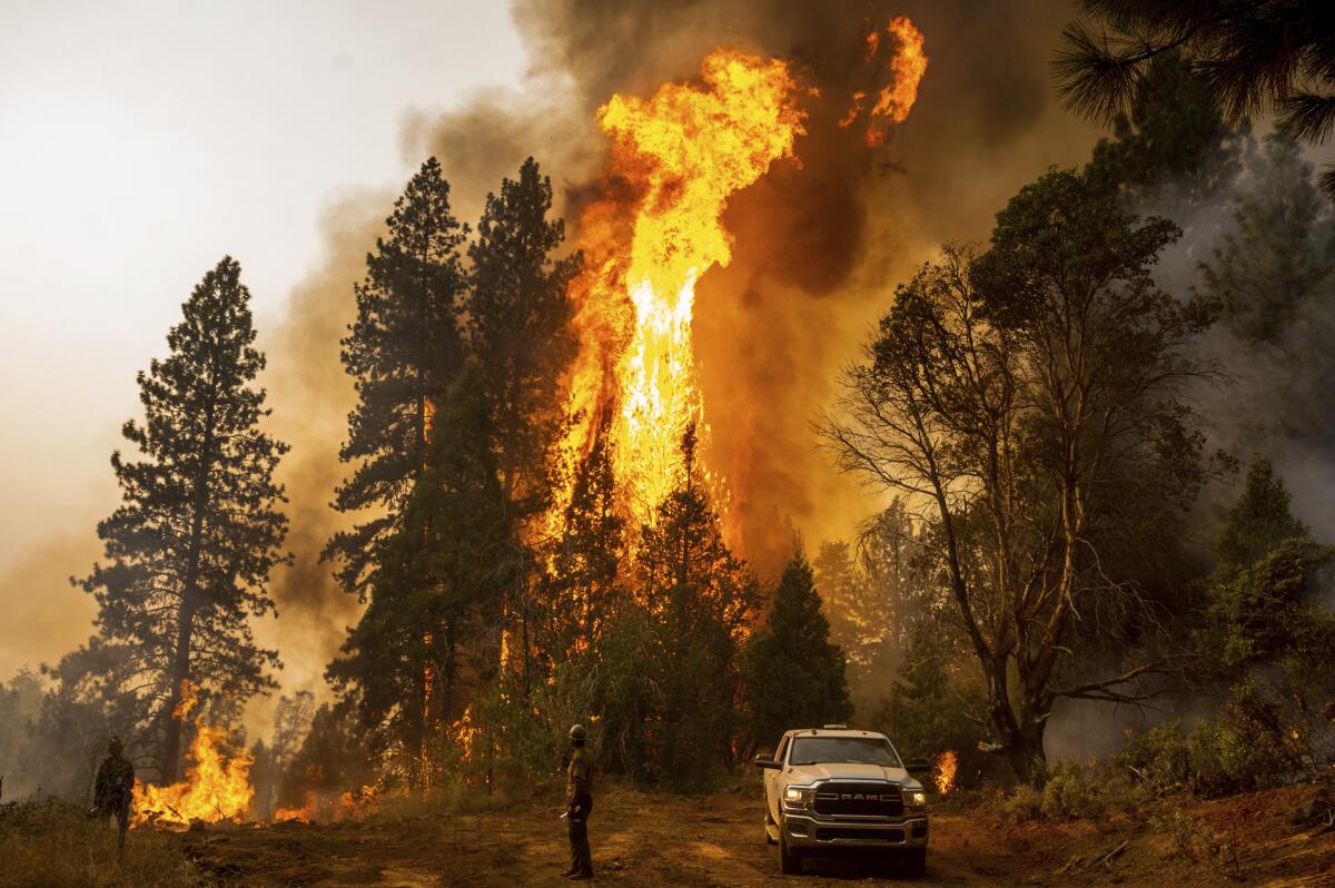 17-surprising-facts-about-wildfires