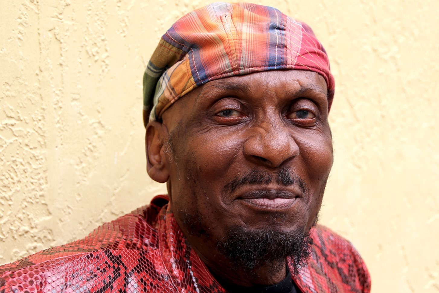 18 Astonishing Facts About Jimmy Cliff - Facts.net