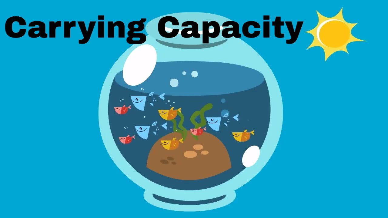 18-captivating-facts-about-carrying-capacity