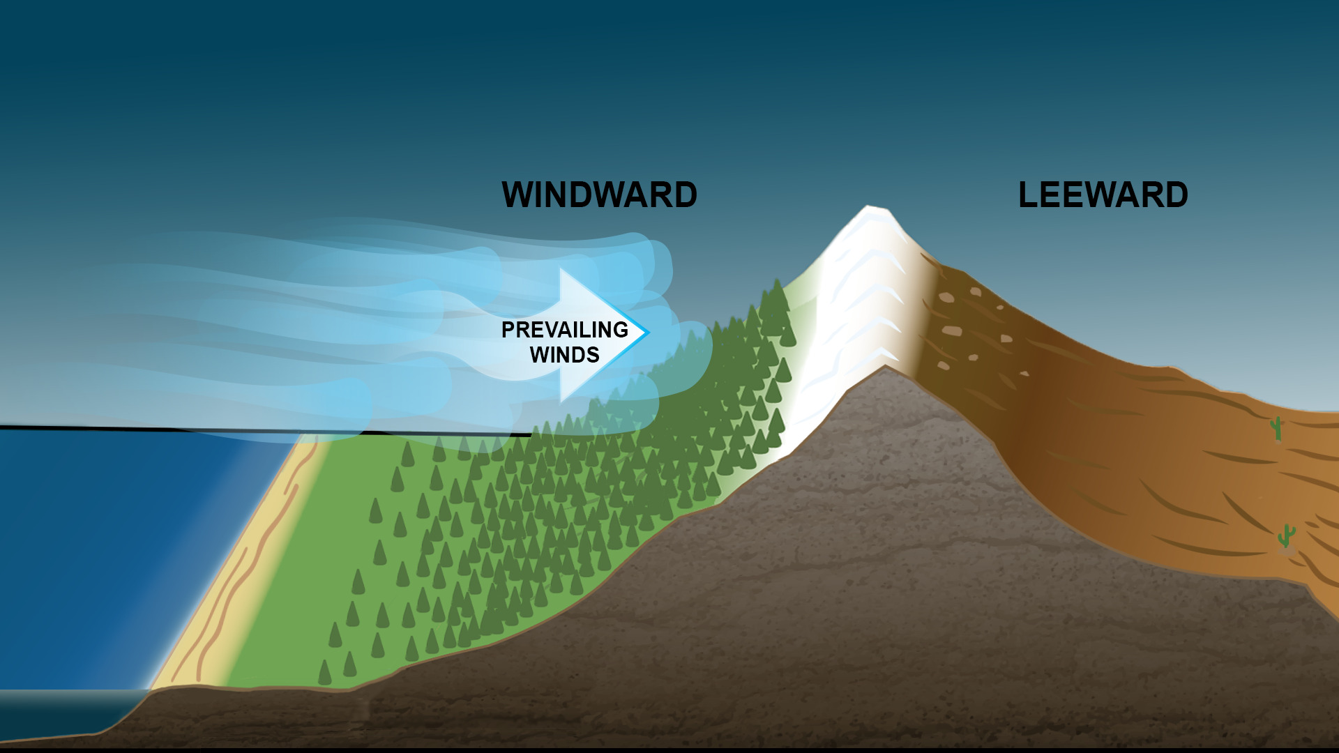 18-intriguing-facts-about-windward-slopes