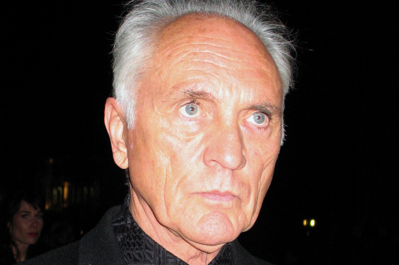 18-unbelievable-facts-about-terence-stamp