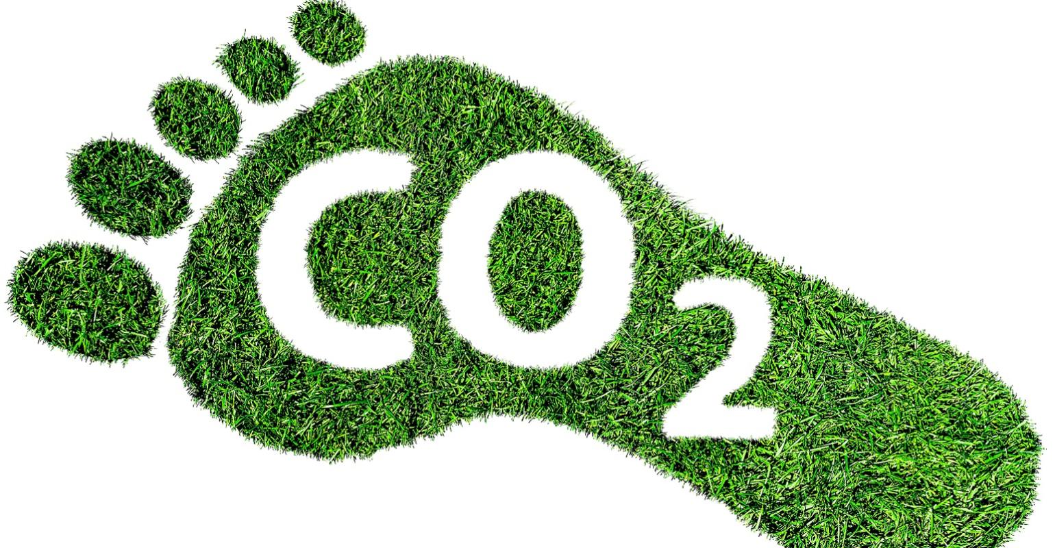 19-captivating-facts-about-carbon-footprint