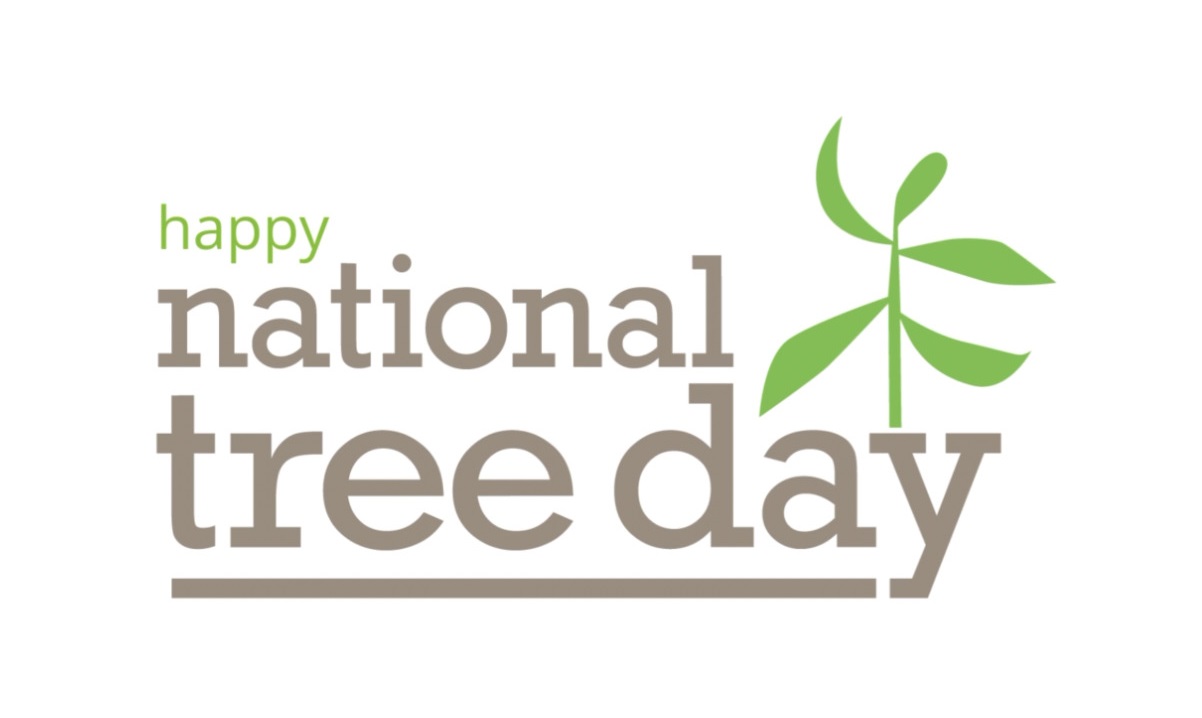 19-captivating-facts-about-national-tree-day