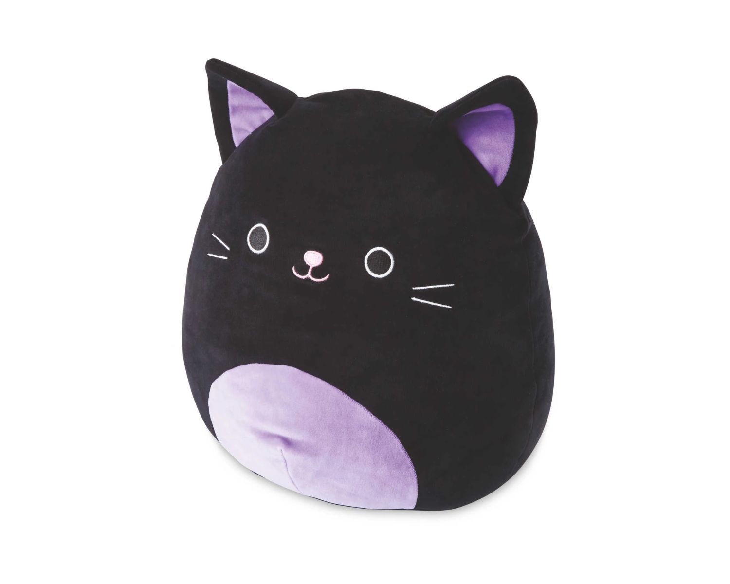 19-enigmatic-facts-about-cat-squishmallow