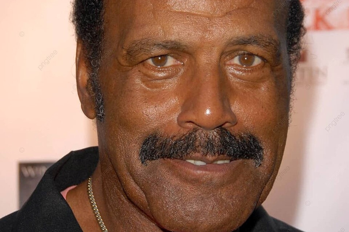 19-enigmatic-facts-about-fred-williamson