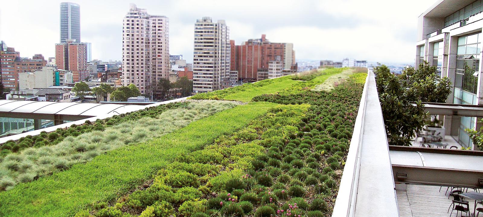 19-extraordinary-facts-about-green-roofs