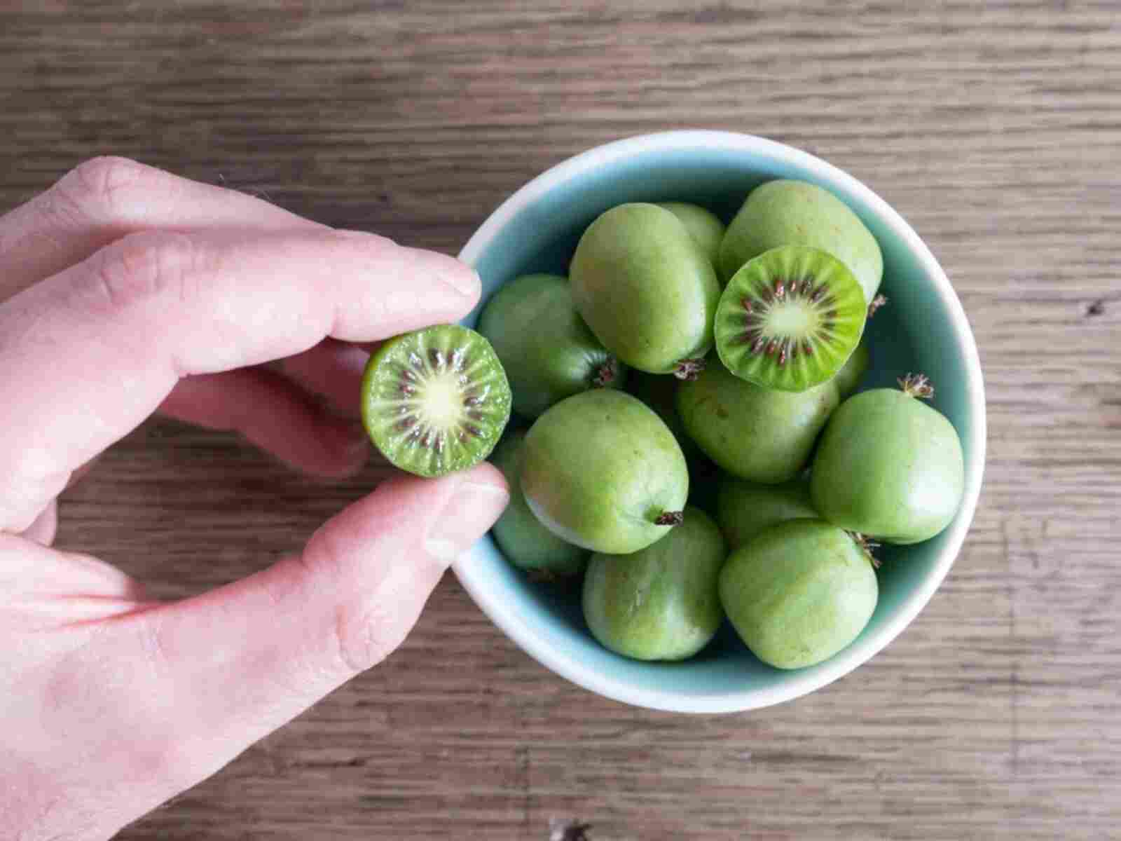 7 Things to Know About Kiwi