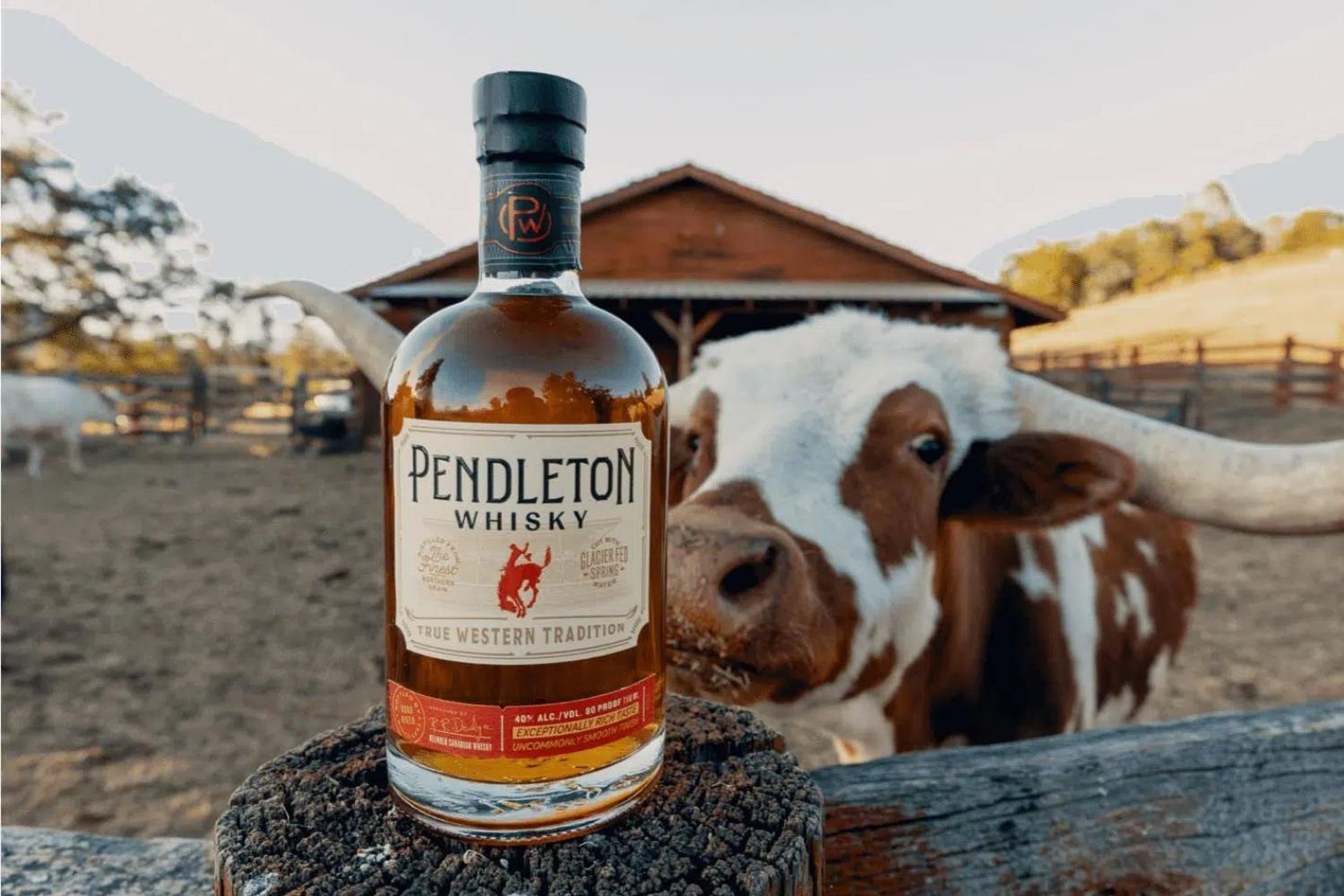 19-fascinating-facts-about-pendleton-whiskey