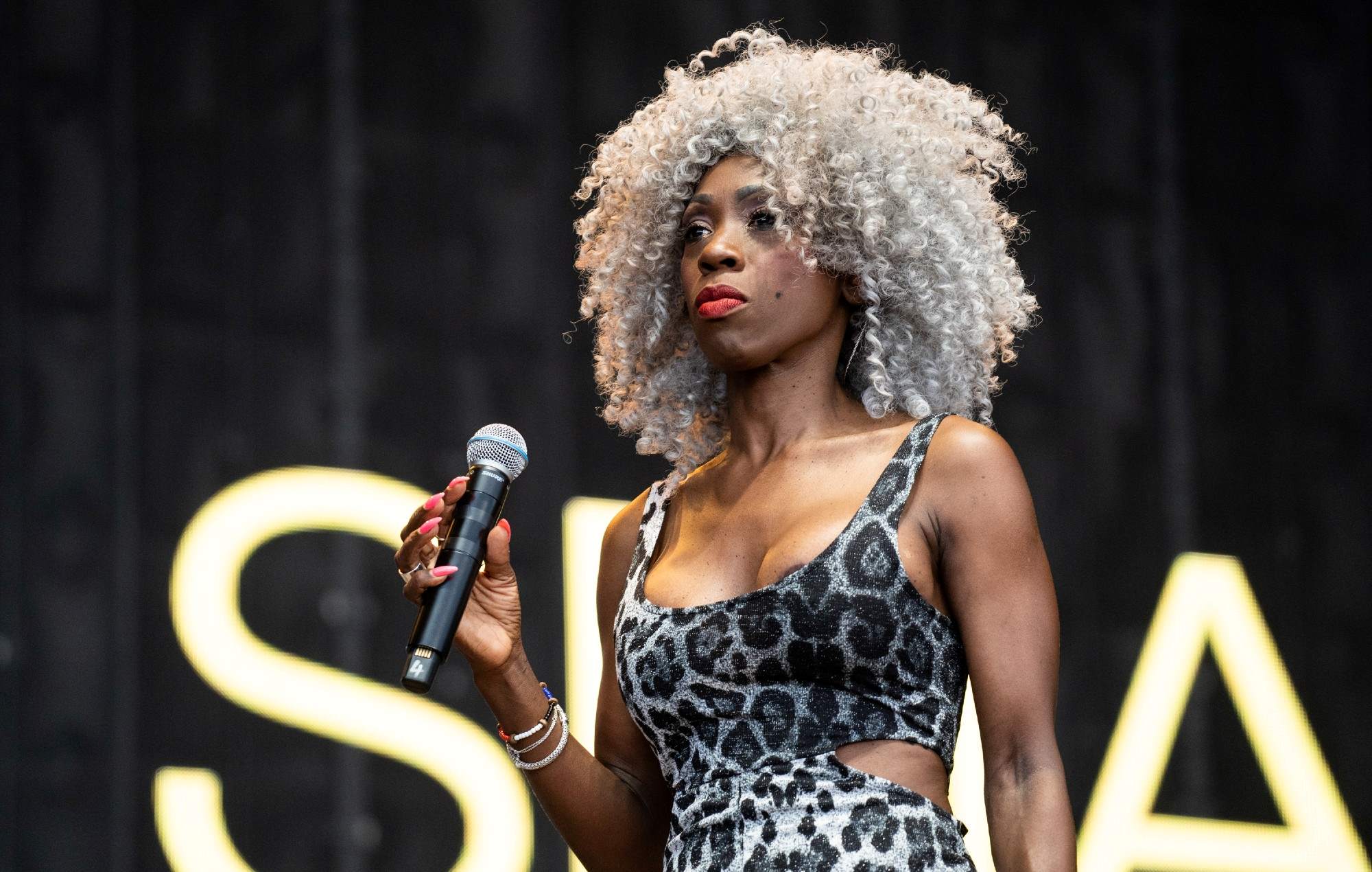 19-intriguing-facts-about-heather-small