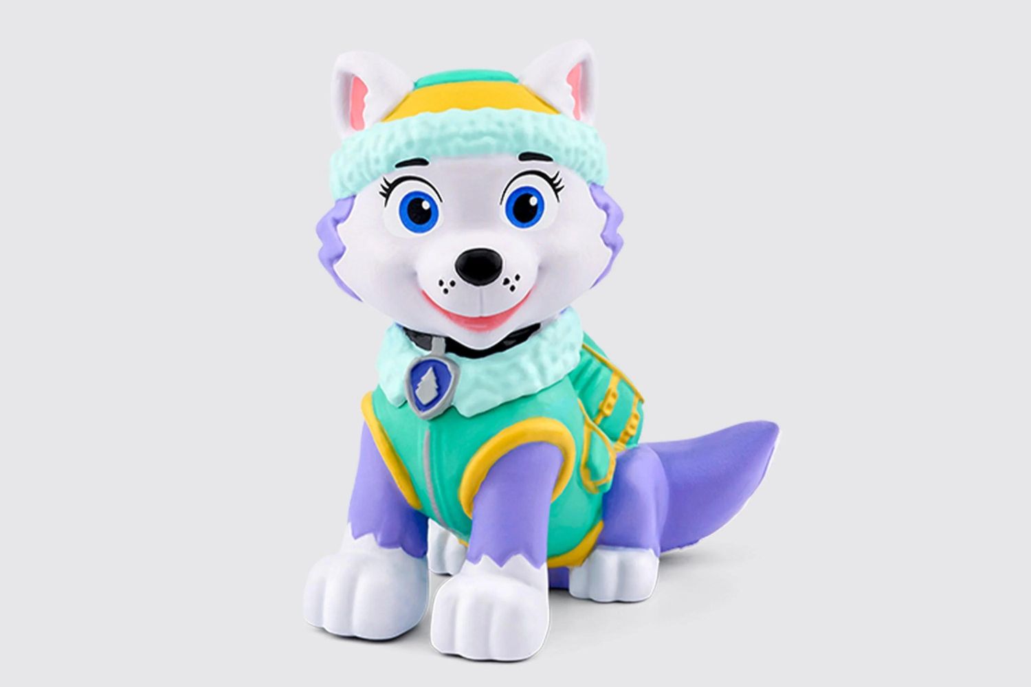 19-surprising-facts-about-everest-paw-patrol