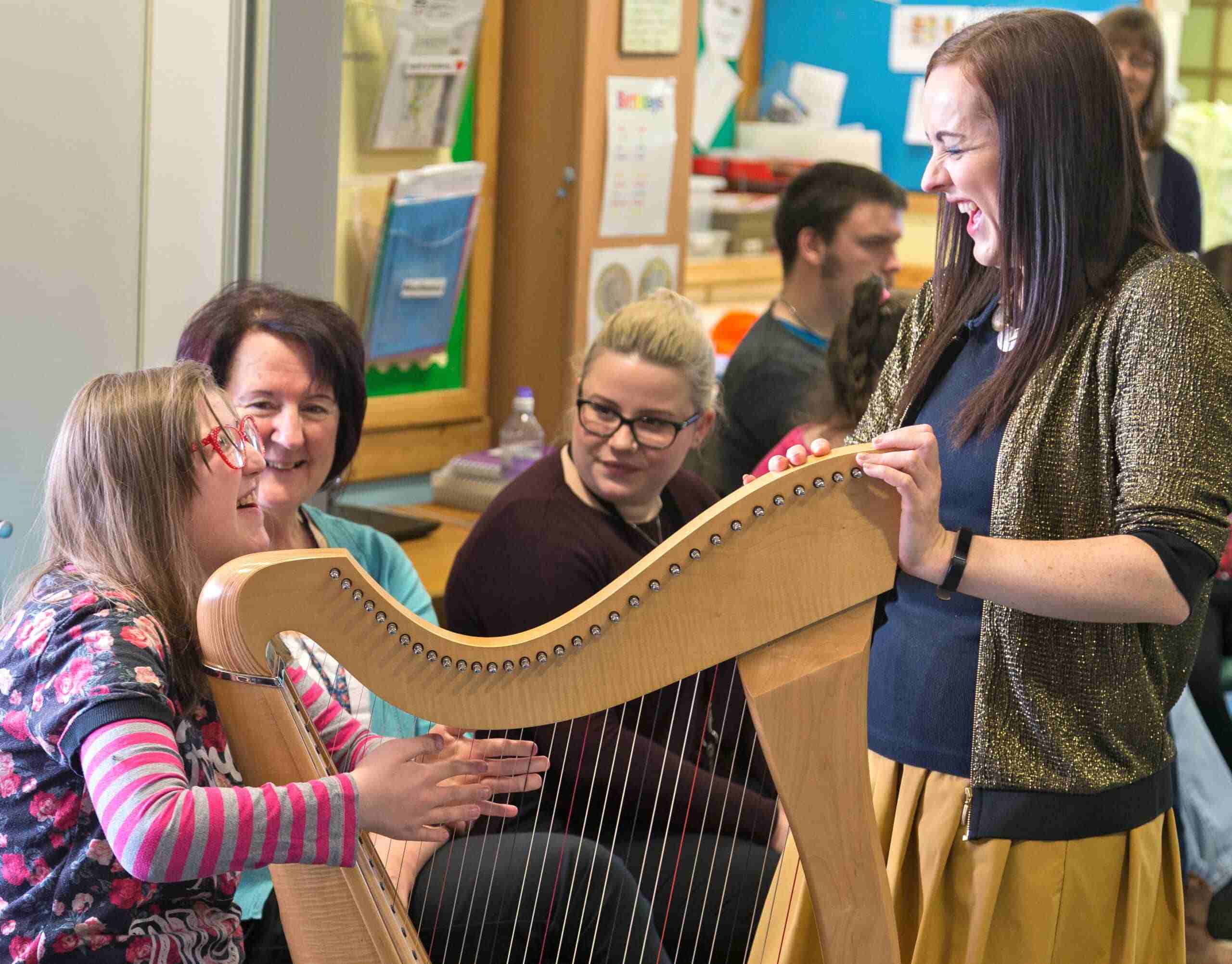 20-fascinating-facts-about-harps-for-hospitals